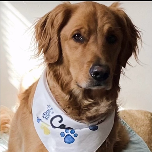 Meet your Posher, Sharon - Picture 5 of 5